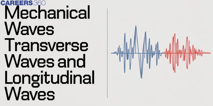 Mechanical Waves Transverse Waves and Longitudinal Waves